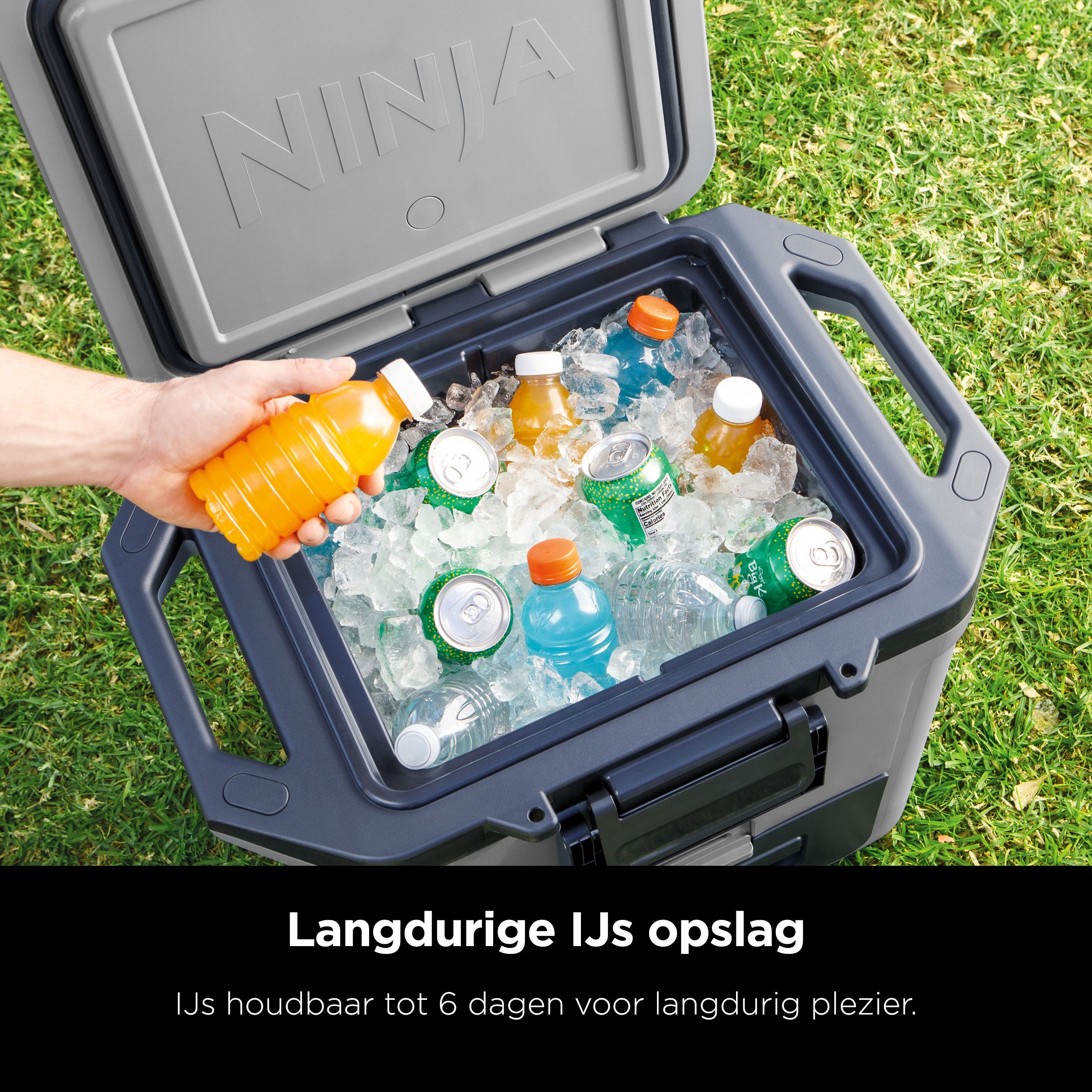 Ninja Frost Vault Kühlbox – 28 Liter – robust und handlich – langfristige Eisspeicherung – FB131EUGY